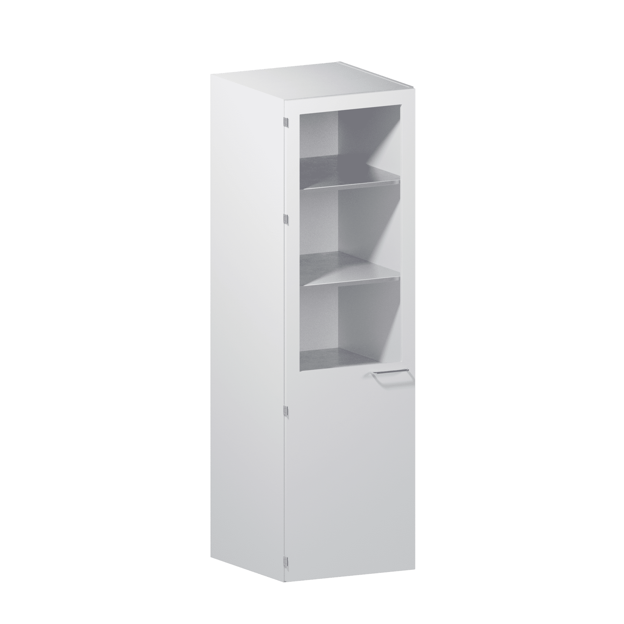 Tall Cabinet with Shelf and Glass Door (2/3)