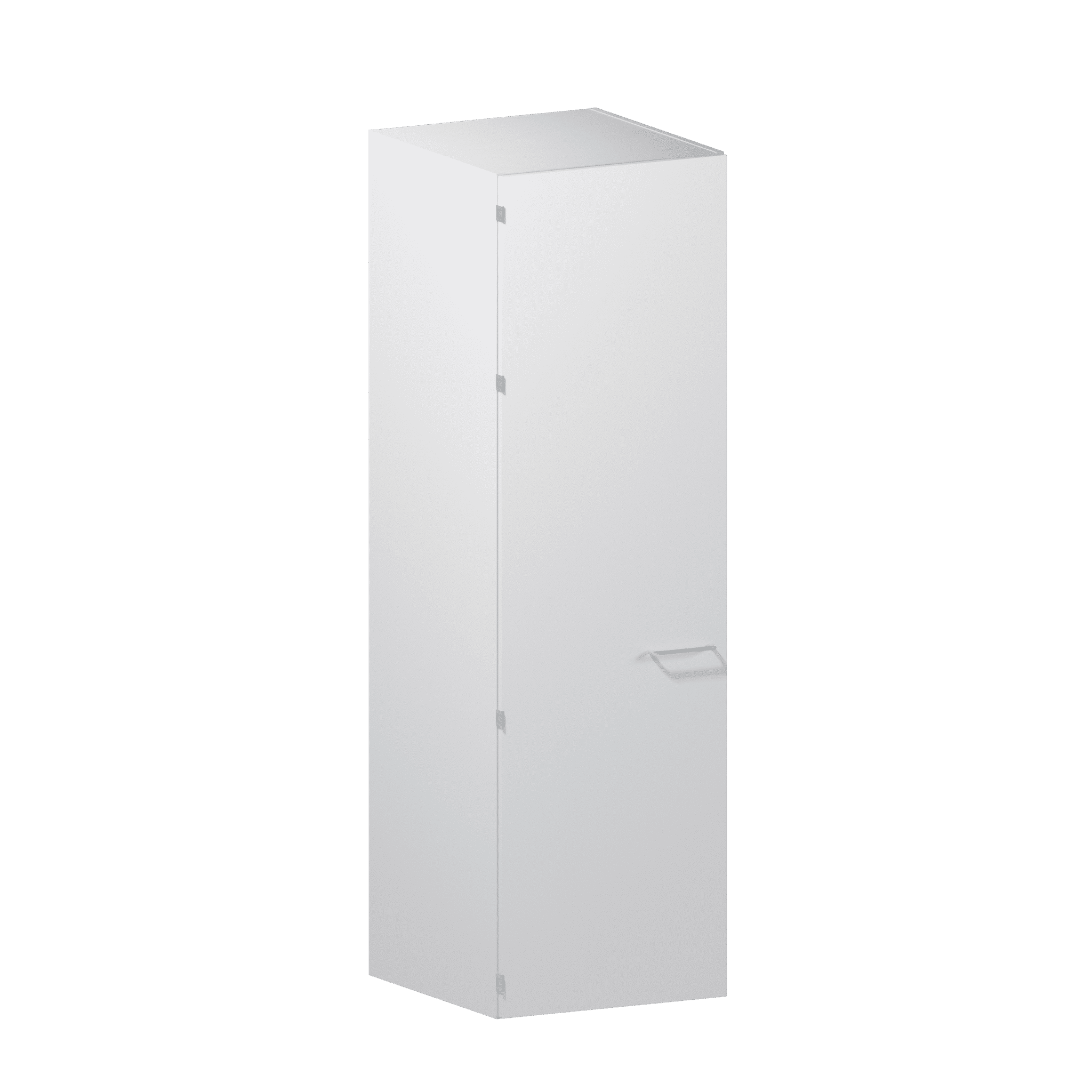 Tall cabinet with shelf and solid door